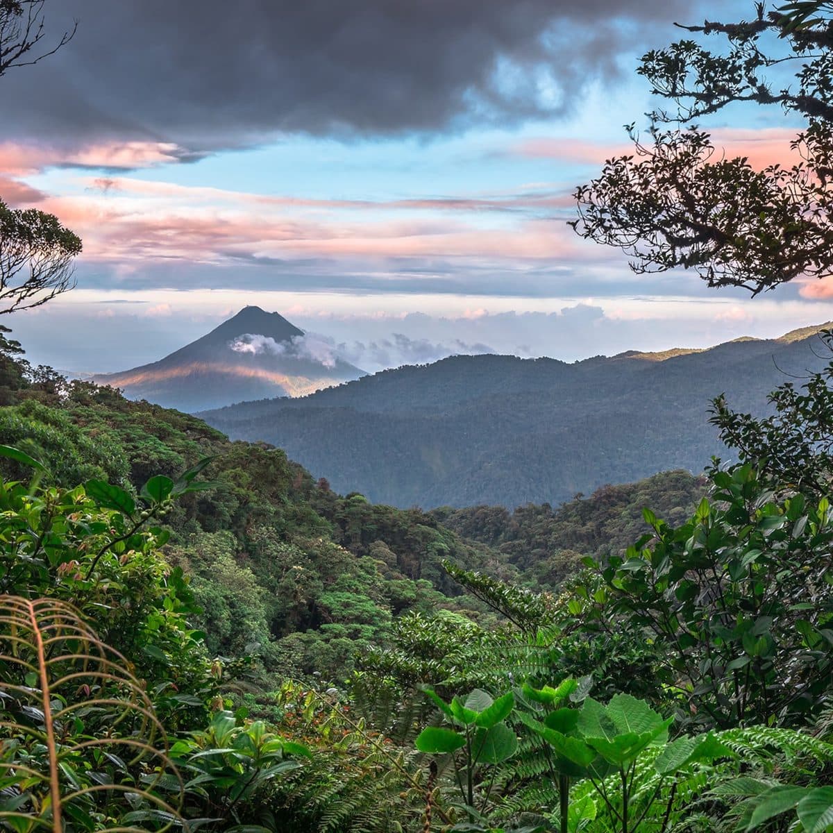 Monteverde