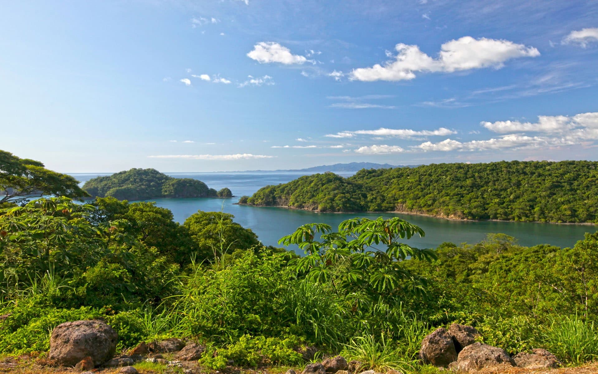 Papagayo / Playas del Coco